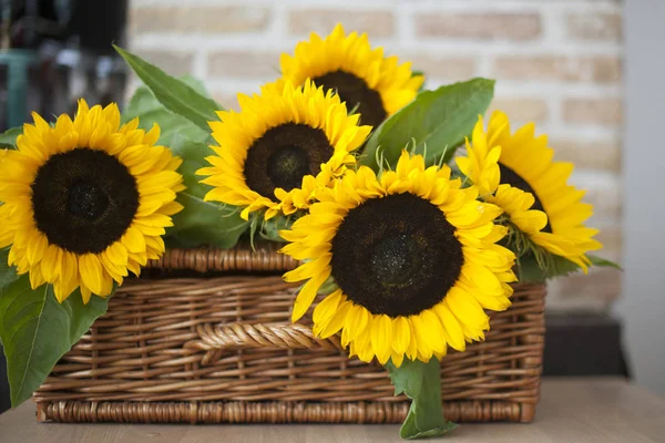 Sunflowers. yellow flowers on a basket wicker on a bricks background — Stock Photo, Image