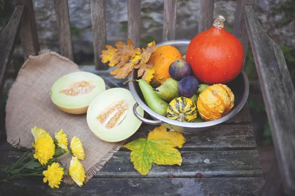 Осіння природа. Падають фрукти на дровах. Подяки. осінні овочі на старому стільці в саду, вільний простір для тексту, жовті квіти — стокове фото