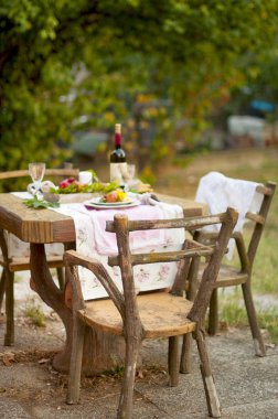 Öğle Yemeği romantik sonbahar Bahçe, tatil ve coziness atmosfer. Sonbahar yemek şarap ve meyve ile açık havada. Çiçek ve nar ile dekor tablo.