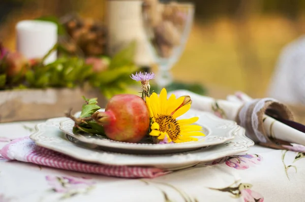 Romantikus vacsora az őszi kert, tábla beállítása egy kellemes vacsora. Bor, gyümölcs, gránátalma és virágok. Piknik a szabadban. — Stock Fotó