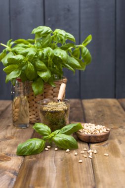 Taze yeşil fesleğen bir pot ve pesto sos ile fındık ve peynir. Yemek pişirmek için İtalyan otlar. Üstten görünüm, kopya alanı