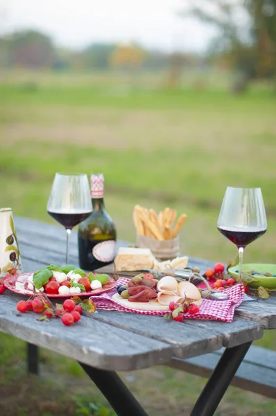 Picnic italiano con vino rosso, parmigiano, prosciutto e olive. Pranzo all'aria aperta. Spuntini tradizionali. Copia spazio — Foto Stock