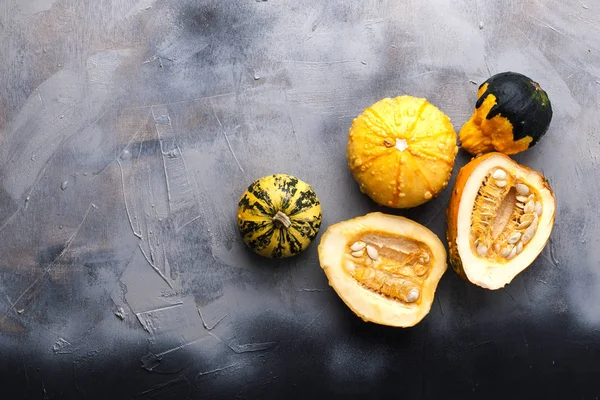 Kabaklar gri bir arka plan üzerinde farklıdır. Sonbaharda hasat ve Cadılar Bayramı. Üstten görünüm. Metin için boş alan