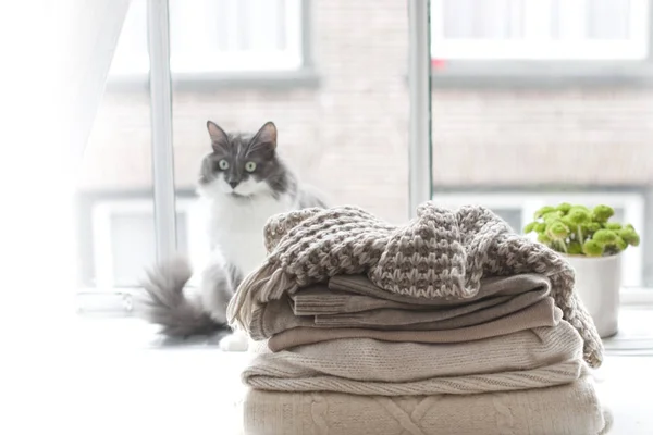 Casa Gato na janela, um monte de roupas quentes de inverno e um lenço. Ambiente acolhedor e a cidade fora da janela . — Fotografia de Stock