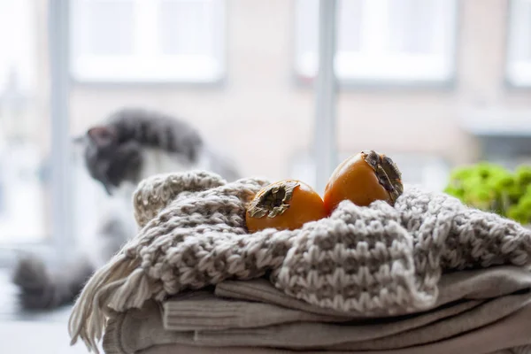 Gato em casa na janela, um monte de roupas quentes de inverno, cachecol e outono de frutas. Ambiente acolhedor e a cidade fora da janela . — Fotografia de Stock
