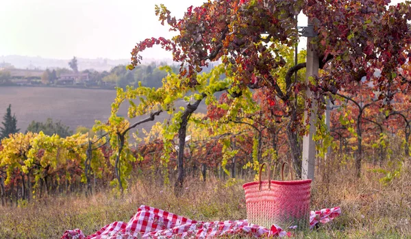 Picnic at sunset in the hills of Italy. Vineyards and open nature in the fall. Romantic dinner, fruit and wine. Copy space. Free space for text.