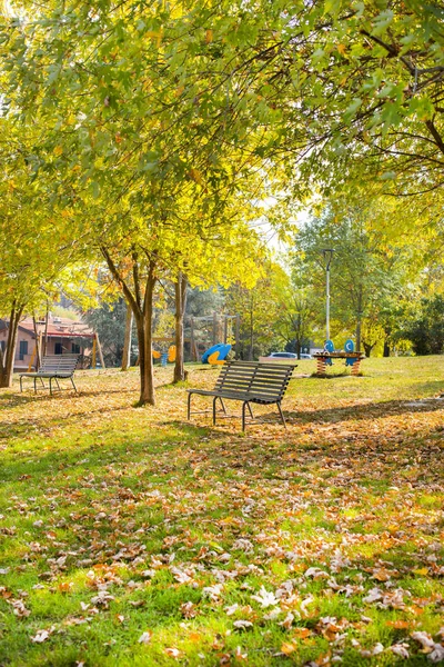 Jesienny park w Włochy. Ławki, łąka, drzew i światło słoneczne. Pięknej przyrody w evroppe. — Zdjęcie stockowe