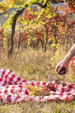 İtalya tepelerinde piknik gün batımında. Üzüm bağları ve sonbaharda açık yapısı. Romantik bir akşam yemeği, bir adam bir kadeh kırmızı şarap dökülen. Metin için özgür yer. Kopya alanı