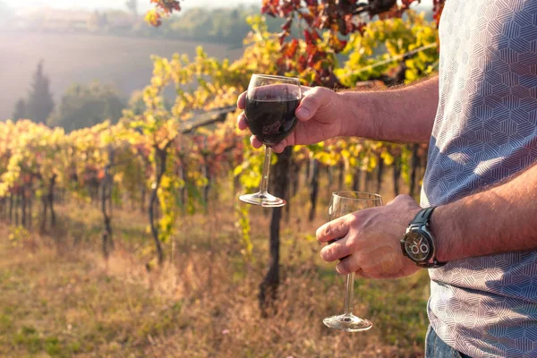 Bicchiere Vino Rosso Mano Vigneti Alberi Con Uva Panorama Italia — Foto Stock