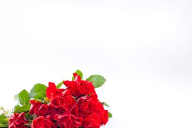 Beyaz arka planda kırmızı gül buketi. Tksta için boş yer. Bayram için hediye ya da tebrik kartı. Sevgililer Günü, Kadınlar Günü ve Anneler Günü kavramı. Boşluğu kopyala