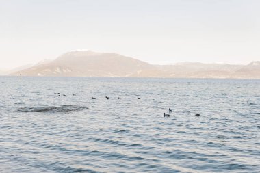 Gölde akşam gökyüzü ve güneş ışığı, güzel bir gezinti
