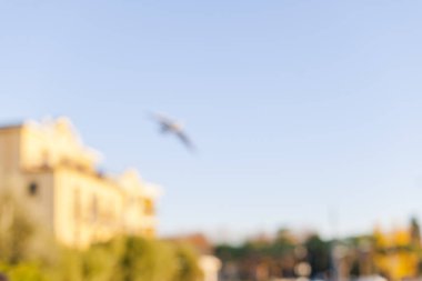 Mavi gökyüzü ve kuşlar. Güneş ışığı. Bulanık arka plan, bozulma. Öne