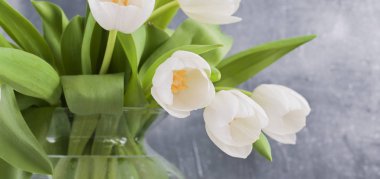 Gri arka planda vazoda bir buket beyaz lale. Çiçekler. 
