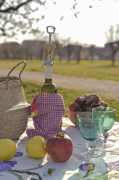 Picnic in the park in spring, with homemade pastries and wine. G — Stock Photo, Image