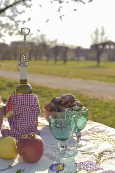 Piknik a parkban tavasszal, házi süteményekkel és borral. G — Stock Fotó