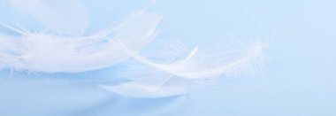 Mavi arka planda bir sürü beyaz tüy var. Açık tonlar ve s