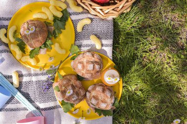 Parkta açık havada öğle yemeği. Yeşil çimlerde aile pikniği.