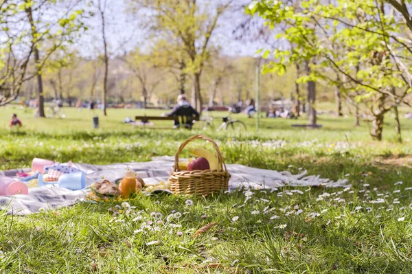 Lunch w parku na świeżym powietrzu. Piknik rodzinny na zielonej trawie. — Zdjęcie stockowe