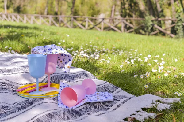 Colored plastic dishes and picnic snacks. Sunny day in the park.