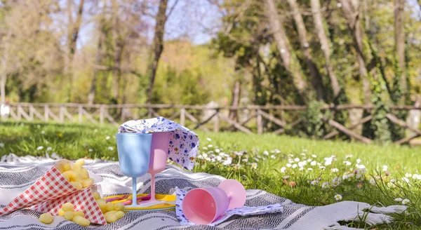 Colored plastic dishes and picnic snacks. Sunny day in the park.