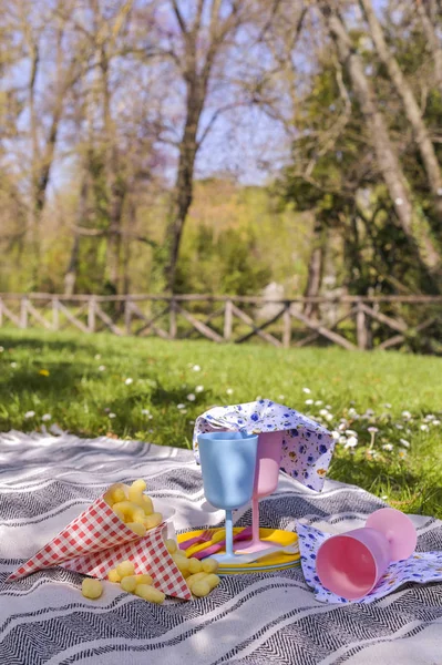 Colored plastic dishes and picnic snacks. Sunny day in the park.