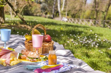 Renkli plastik tabak ve meyve sepeti, açık hava piknik sandviçi.