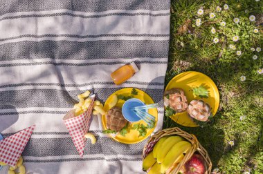 Dışarıda piknik yapmak için bir sepet meyve ve sandviç.