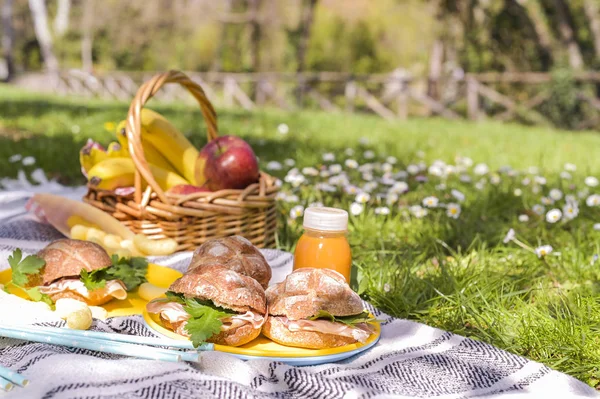 A basket of fruit and sandwiches for a picnic outdoors in the pa