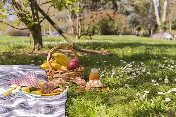 Uma cesta de frutas e sanduíches para um piquenique ao ar livre no pa — Fotografia de Stock