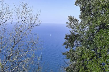 Mavi gökyüzü, ufuk ve deniz. Sabahları güzel doğa..