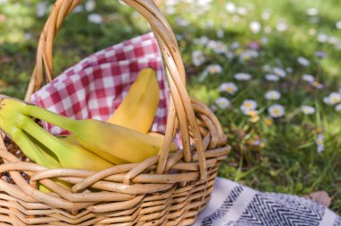 Parkta piknik yemeğiyle dolu bir sepet. Çiçekli yeşil çimenler.