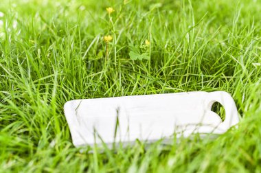 Yeşil çayır, beyaz tepsi ve güneş ışığı. Çimenli arka plan. Öne