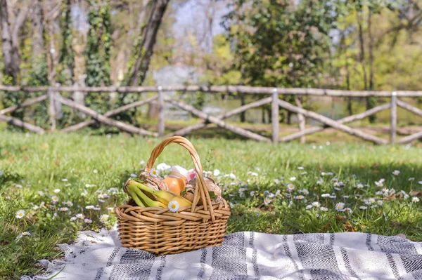 Basket with picnic food in the park. Green grass with flowers an