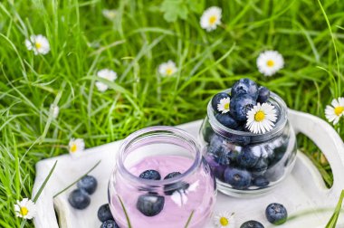 Kavanozda yoğurt ve yeşil çimlerde beyaz yaban mersini. 