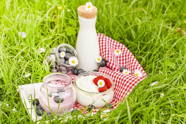 Garrafa de leite e iogurte na grama verde. Produtos ecológicos — Fotografia de Stock