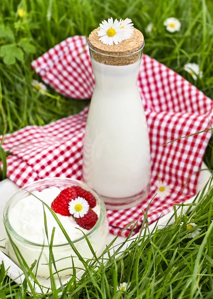 Пляшка молока і сиру в банку ягід Маоїні на — стокове фото