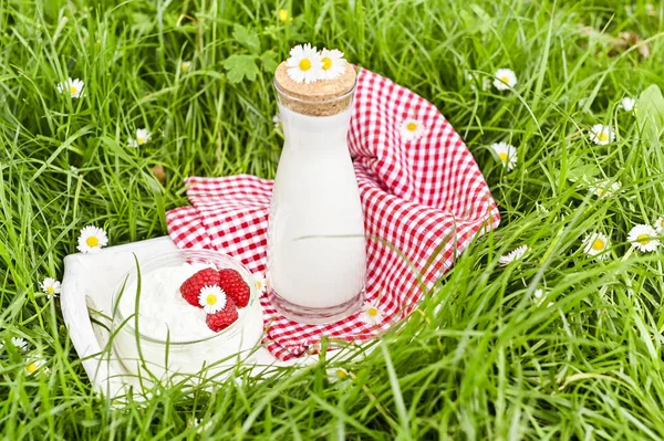 Fles melk en kwark in een potje Maoini bessen op — Stockfoto