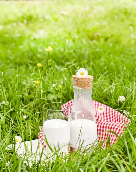 A bottle of milk and a glass on the green grass. Environmentally