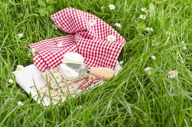 Yumuşak mavi peynir ve yeşil çimlerde bir bıçak. Süt ürünleri 