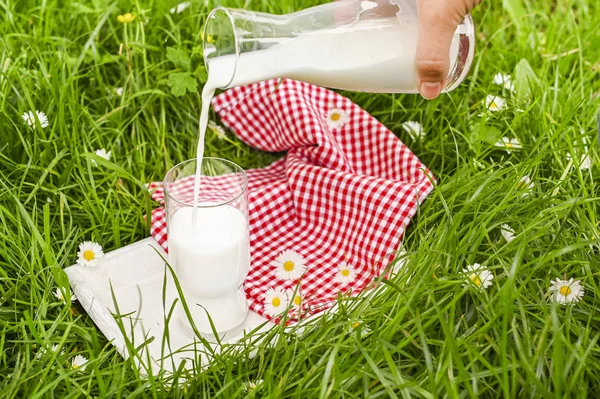 Пляшка молока і склянка на зеленій траві. Екологічно — стокове фото