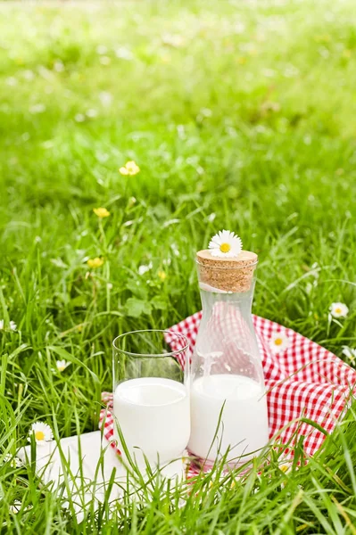 A bottle of milk and a glass on the green grass. Environmentally — 스톡 사진