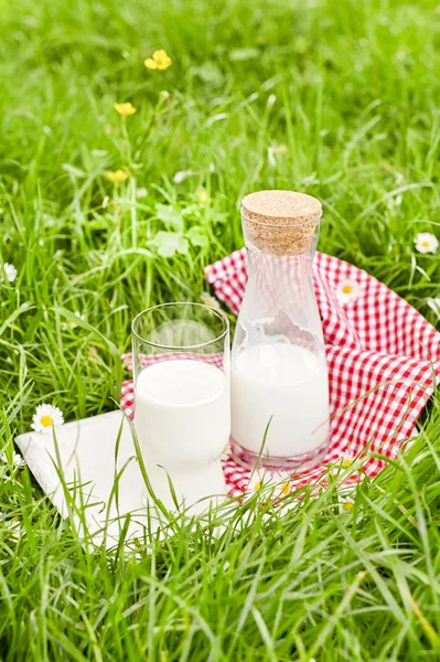 Пляшка молока і склянка на зеленій траві. Екологічно — стокове фото