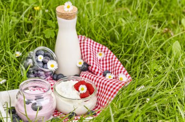 Yeşil çimenlerin üzerinde bir şişe süt ve yoğurt. Çiftlik ürünleri. C