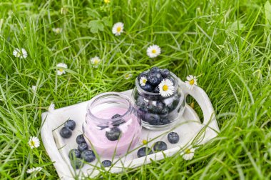 Yeşil çimlerin üzerinde yabanmersini ve yoğurt tepsisi. Yaz hasadı 
