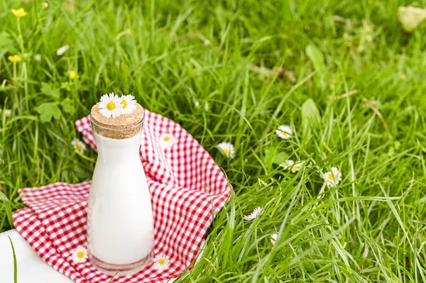 Yeşil çimlerin üzerinde bir şişe süt. Çevre dostu halkla ilişkiler. — Stok fotoğraf