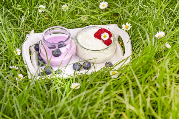 Йогурт і чорниця і малина в саду на городі — стокове фото