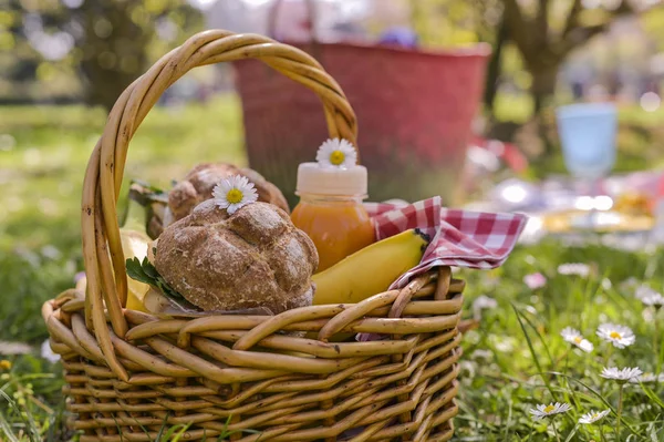 Basket with picnic food. Lunch on the fresh air in the park. Gre