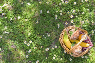 Yeşil çimenlerin üzerinde parkta öğle yemeği. Yaz güneşli gün ve picni