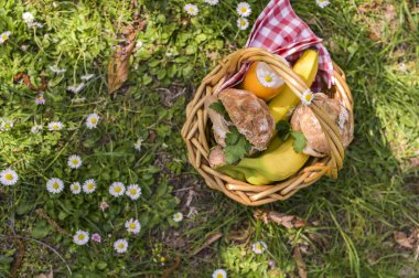 Piknik yemeksepeti. Parkta temiz havada öğle yemeği. Gre