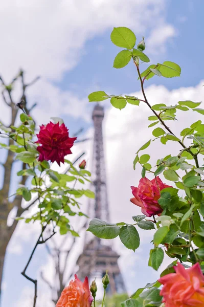 Wieża Eiffla w kolorach. Wiosna w Paryżu. Błękitne niebo i chmury. Tr — Zdjęcie stockowe